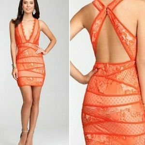 Bebe orange lace dress